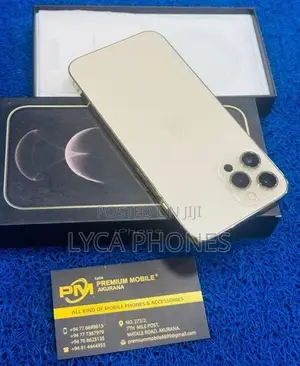 Apple iPhone 12 Pro 256GB (Used)