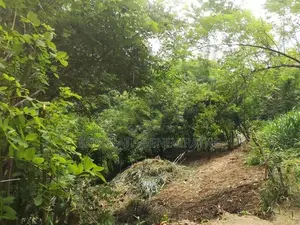 Land For Sale in Kandy Walala Menikhinna