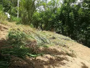 Land For Sale in Kandy Walala Menikhinna