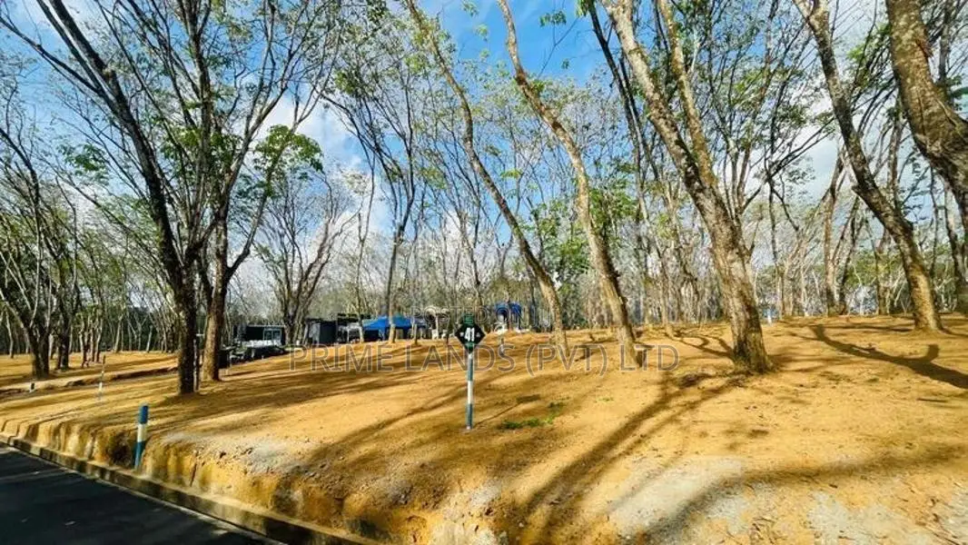නේවාසික බ්ම් කොටස් විකිණීම හෝමාගම