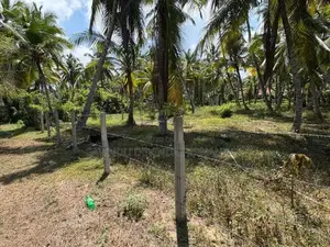 28 Perch Land for Sale in Pambala, Chilaw – 800m to Main Road