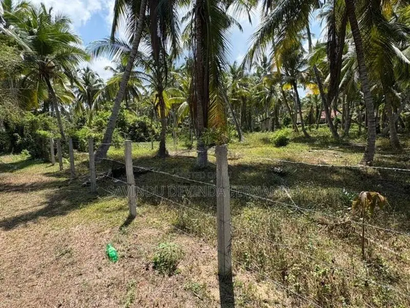 28 Perch Land for Sale in Pambala, Chilaw – 800m to Main Road