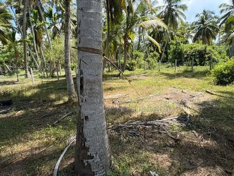 28 Perch Land for Sale in Pambala, Chilaw – 800m to Main Road