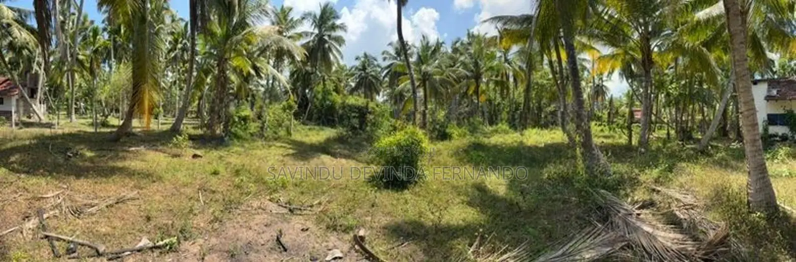 28 Perch Land for Sale in Pambala, Chilaw – 800m to Main Road