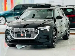 Audi e-tron Q8 50 Quattro S Line 2024
