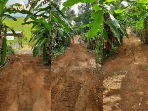 Land for sale in Kosgama