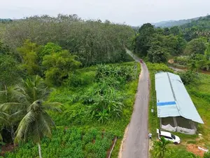 Land for sale in Kosgama
