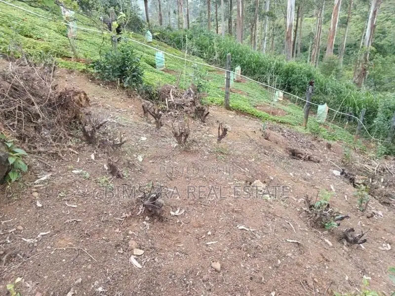 40P – Prime Residential / Leisure Land for Sale in Lindula | SL14687