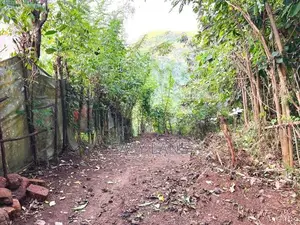 Kandy Land for Sale