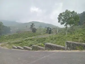 View point land for sale Nuwara Eliya Road