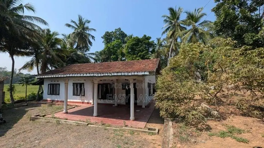 වෙල්යායට මුහුණලා අගනා නිවසක්
