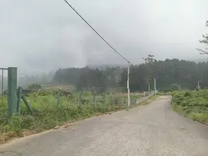View point land for sale Nuwara Eliya Road