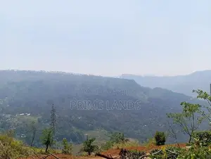 View Point Land for Sale Pundaluoya