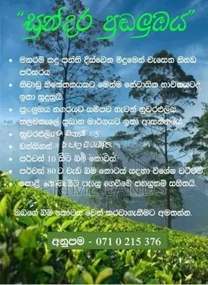 View point land for sale Nuwara Eliya Road
