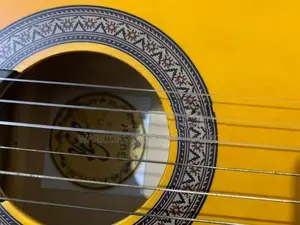 Toyama Japan Classic Guitars