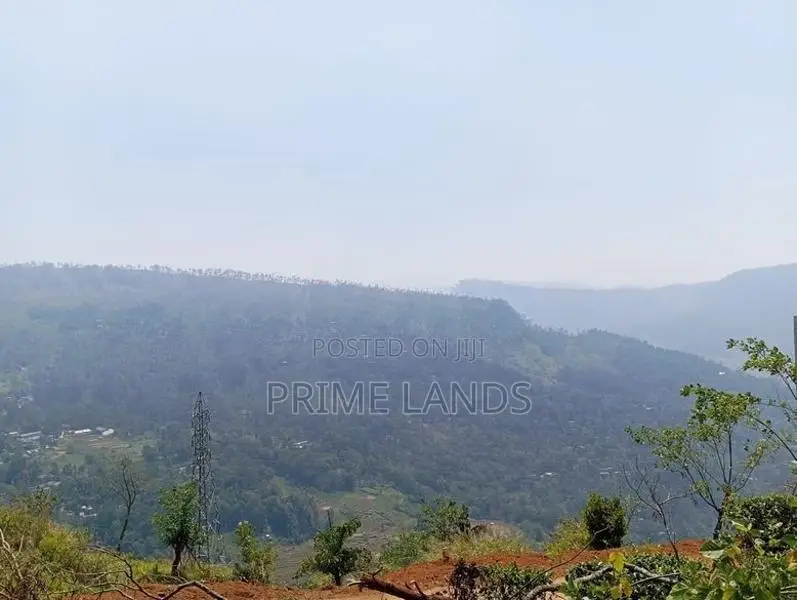 View point land for sale pundaluoya
