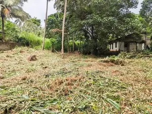 Land for Sale in Kalalpitiya