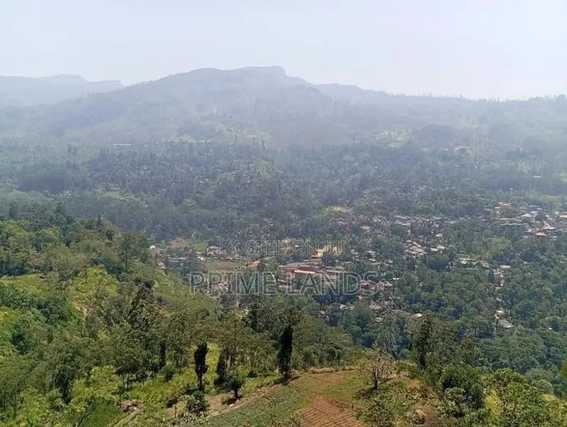 View Point Land for Sale Pundaluoya