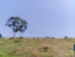 View point land for sale pundaluoya