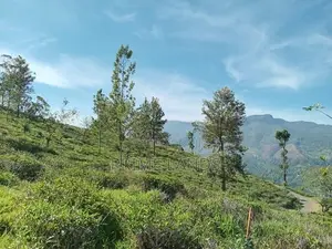 View point land for sale Nuwara Eliya Road