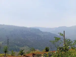 View Point Land for Sale Pundaluoya