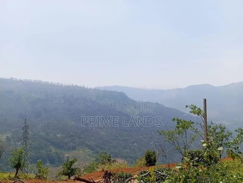View Point Land for Sale Pundaluoya
