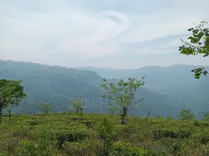 View Point Land Nuwaraeliya Road