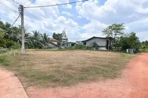 Land for Sale in Keenawala, Veyangoda - THI0057L