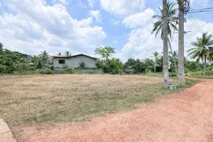Land for Sale in Keenawala, Veyangoda - THI0057L