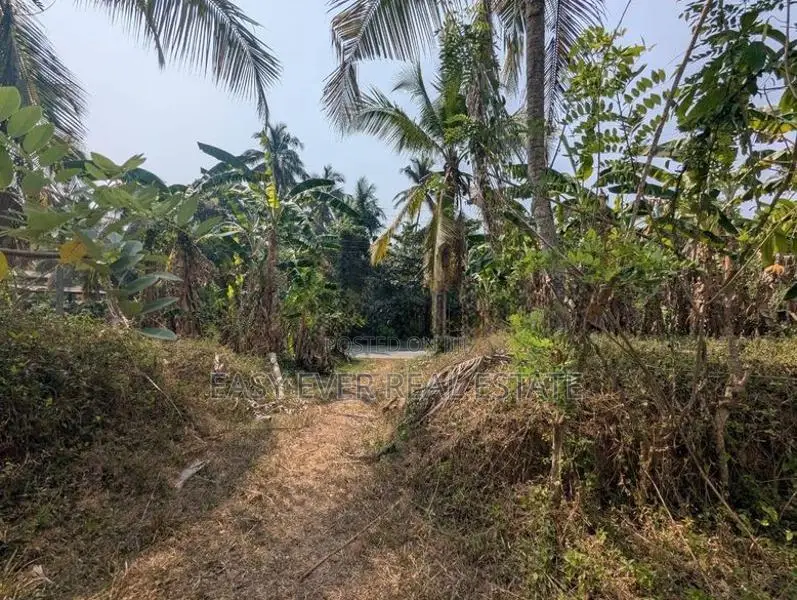 කල්එලිය ප්‍රධාන පාරට මුහුණලා ව්‍යාපාරික ඉඩමක්