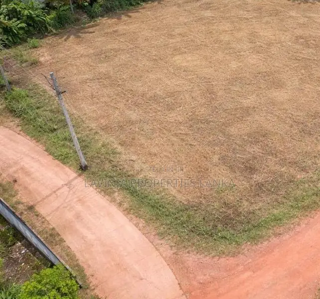 Land for Sale in Keenawala, Veyangoda - THI0057L