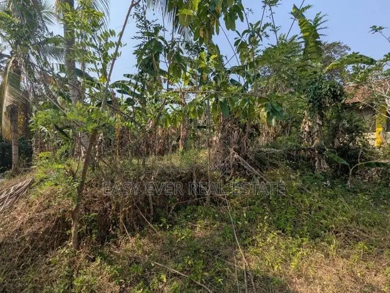 කල්එලිය ප්‍රධාන පාරට මුහුණලා ව්‍යාපාරික ඉඩමක්