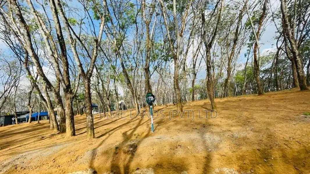 නේවාසික බ්ම් කොටස් විකිණීම හෝමාගම තලගල
