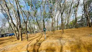 නේවාසික බ්ම් කොටස් විකිණීම හෝමාගම තලගල