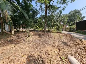 බස් පාරකට මායිම් පර්චස් 27 ක් හොරණ