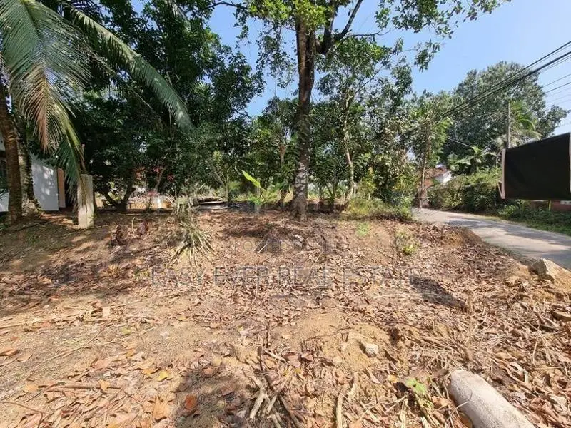 බස් පාරකට මායිම් පර්චස් 27 ක් හොරණ
