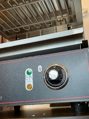 Industrial Electric Salamander
