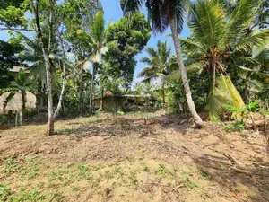 බස් පාරකට මායිම් පර්චස් 27 ක් හොරණ