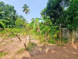 වේයන්ගොඩ නගරයට සමීප වටිනා ඉඩමක් විකිණීමට
