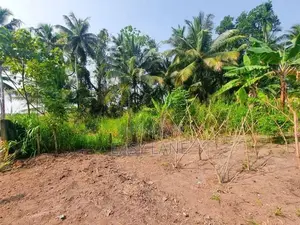 වේයන්ගොඩ නගරයට සමීප වටිනා ඉඩමක් විකිණීමට
