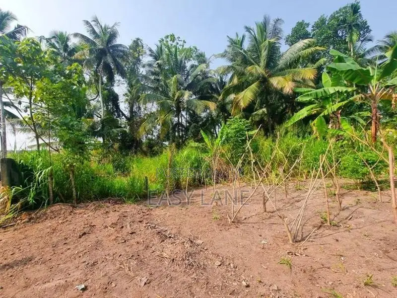 වේයන්ගොඩ නගරයට සමීප වටිනා ඉඩමක් විකිණීමට