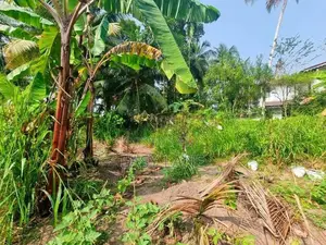 වේයන්ගොඩ නගරයට සමීප වටිනා ඉඩමක් විකිණීමට