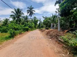 නිට්ටඹුවට ලඟින්ම – ඉඩමක් සහ නිවසක් විකිණීමට