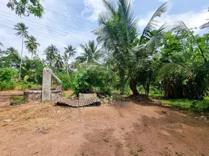 නිට්ටඹුවට ලඟින්ම – ඉඩමක් සහ නිවසක් විකිණීමට