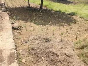 Land for Sale in Ingiriya