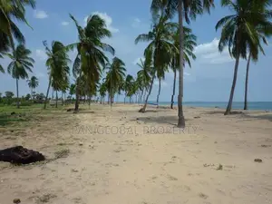 Beach Land for Sale in Vakarai