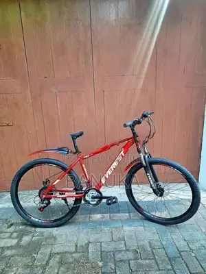 Mountain Bicycle Everest (Brand New)
