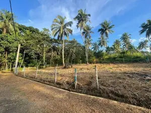 Land for Sale in Veyangoda