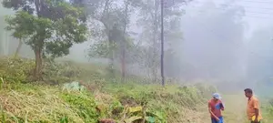 හපුතලේ – හල්දුම්මුල්ල ප්‍රදේශයේ පිහිටි අගනා ඉඩමක්
