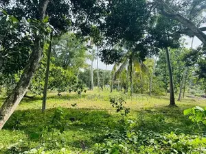 Estate for Sale in Kurunegala